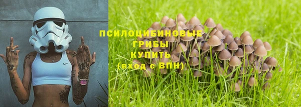 ALPHA PVP Арсеньев